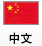 中文